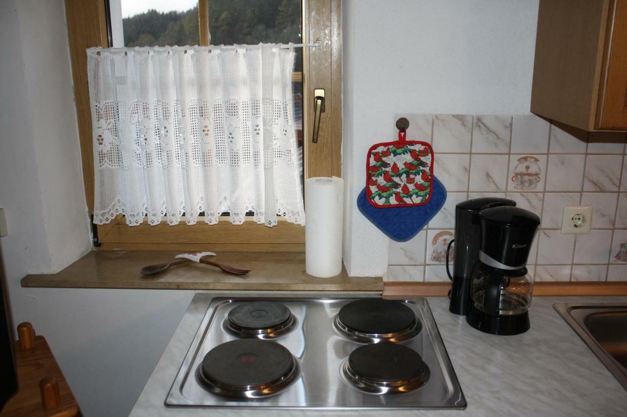 Ferienwohnung Eva Und Alexander Hirschbach  エクステリア 写真